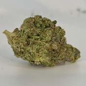 $115 OZ - BC Pink Kush