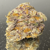 "Premium Exotic" - Blizzard of Oz - Hybrid 70% Indica/30% Sativa - THC 33%