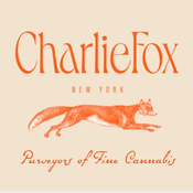 Charlie Fox Southampton