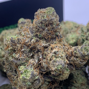 (NEW) Maui Wowie ** $150oz**  SATIVA thumbnail 4