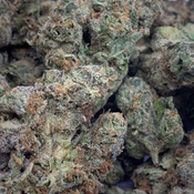 (NEW) Cinderella 99  **$140oz**  SATIVA thumbnail 3