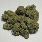 Animal Cookies