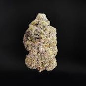 RAINBOW SHERBET