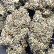 Astro Pink - 160$ oz (GAS)