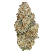 Astronaut Status 3.5g <br>Hybrid <br>29.73% | 3.77% Terps