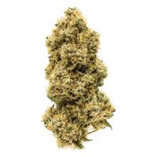 Animal Face 14g <br>Sativa <br>28.85% THC | 2.41% CBG <br>3.26% Terps