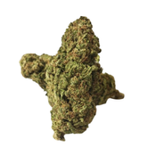(INDICA) Forbidden Fruit
