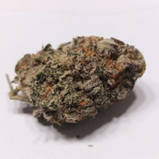 Blackberry Snow Cone (AAAA+)