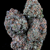 BC Galactic Death Star – 28G 115$ – Indica Gas