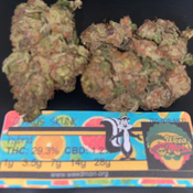 ***NEW $100/Oz*** Citrus Skunk (AAA) 29.3% THC 1.2% CBD