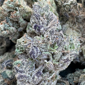 BLACK GAS SALE AAAA  $120oz 2FOR$220 4FOR$420