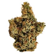 Tres Dawg x I-95 7g <br>Indica <br>31.7% | 2.55% Terps