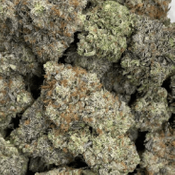 Pink Diablo (AAAA) / Special OZ Price thumbnail 2