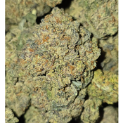 DANTES INFERNO ***SALE***85OZ 2FOR160 4FOR3000 thumbnail 2