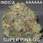 # 1 NEW STRONGEST  8⭐  SUPER PINK OG ( SUPER STICKY, GASSY, VERY STRONG) AAAAAA ($165 OUNCE SALE) REG $450 