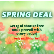 Spring Deal