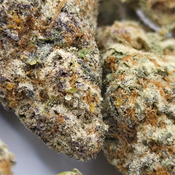 (NEW) Orange Creamsicle 🍊 (On Sale $120/Oz) thumbnail 2