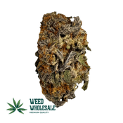 Purple Candy (AAA) thumbnail 1