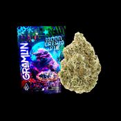 Moon Cream Pie 3.5g Flower