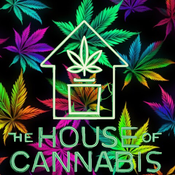 Ungodly Pink  thumbnail 1