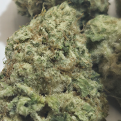(NEW) Girl Scout Cookies 🍪 $100/0z 🔥  thumbnail 4