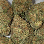 Ice cream kush(2 ozs for 180)