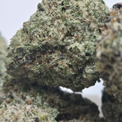 (BACK BY POPULAR DEMAND!) LIT Farm's White Runtz ($100/OZ 🔥 On Sale LIMITED Time)