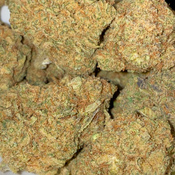 Hawaain Crush(2 ozs for 130,3 ozs for 190,5 ozs for 275)