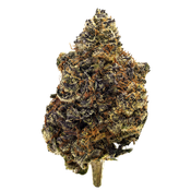GARLIC BREATH (Indica) $85 OZ | $180 3 OZ thumbnail 1