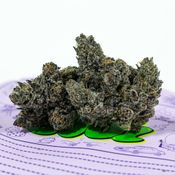 Poison Gushers