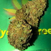 ******LEMON HAZE***** thumbnail 2