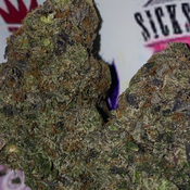 Platinum Pink death 💀 