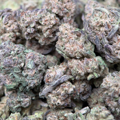 (28G) - Alien Cookies Hybrid | 4Oz Bulk Deal for $220 thumbnail 4