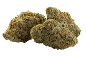 Trailblazer - Flicker Buds - 3.5 Indica