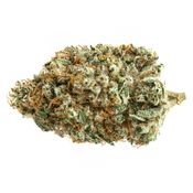 Soar - Alien Fuel - Hybrid thumbnail 1