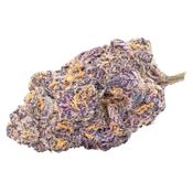 BLK MKT - Purple Rain - Dried Flower