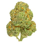 San Rafael '71 - Chemango Kush - Chemango Kush Dried Flower thumbnail 1