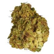Color Cannabis - Pedro's Sweet Sativa - Sativa Dried Flower