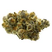 True Fire - 33 Splitter - Indica Dried Flower
