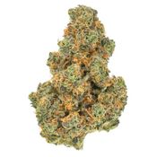 San Rafael 71' - Pink Diesel 71 14 - Dried Flower thumbnail 1