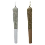 ness - Citrus Rush x K-Smorz Pre-Roll - 12x0.5g Hybrid