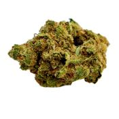 Color - Black Sugar Rose -Dried Flower thumbnail 1