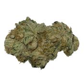 Homage - Desi - Sativa thumbnail 1