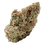 Spinach - Sonic Lemon Fuel - Sonic Lemon Fuel Dried Flower thumbnail 1