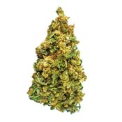 Color Cannabis Pedro's Sweet Sativa - 3.5g