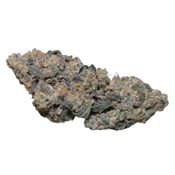6.8.2 Canadian Cannabis | x.X.x. Bomb Budz | 7g (NEW)