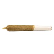 General Admission Peach Ringz Infused Pre-Roll - 3 x .5g