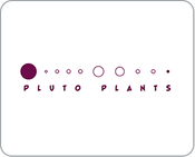Pluto Plants - Chatham 