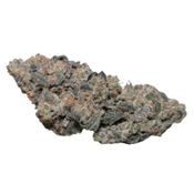 6.8.2 Canadian Cannabis | x.X.x Bomb Budz