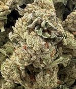 14g - ORIGINAL GLUE - (AAA)